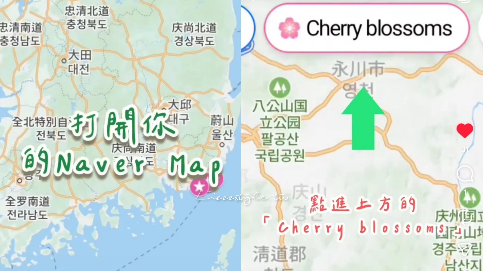 【2026釜山賞櫻攻略】景點地圖與地鐵交通！昌原鎮海櫻花何時開？最新預測開花時間＋旅遊建議