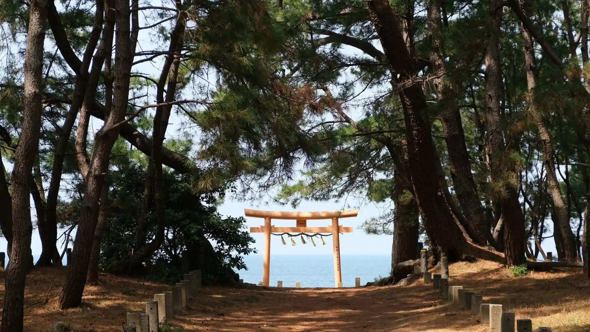 【福岡秘境景點】下山門生の松原海岸森林＋海邊鳥居，離車站僅4分鐘步行距離！