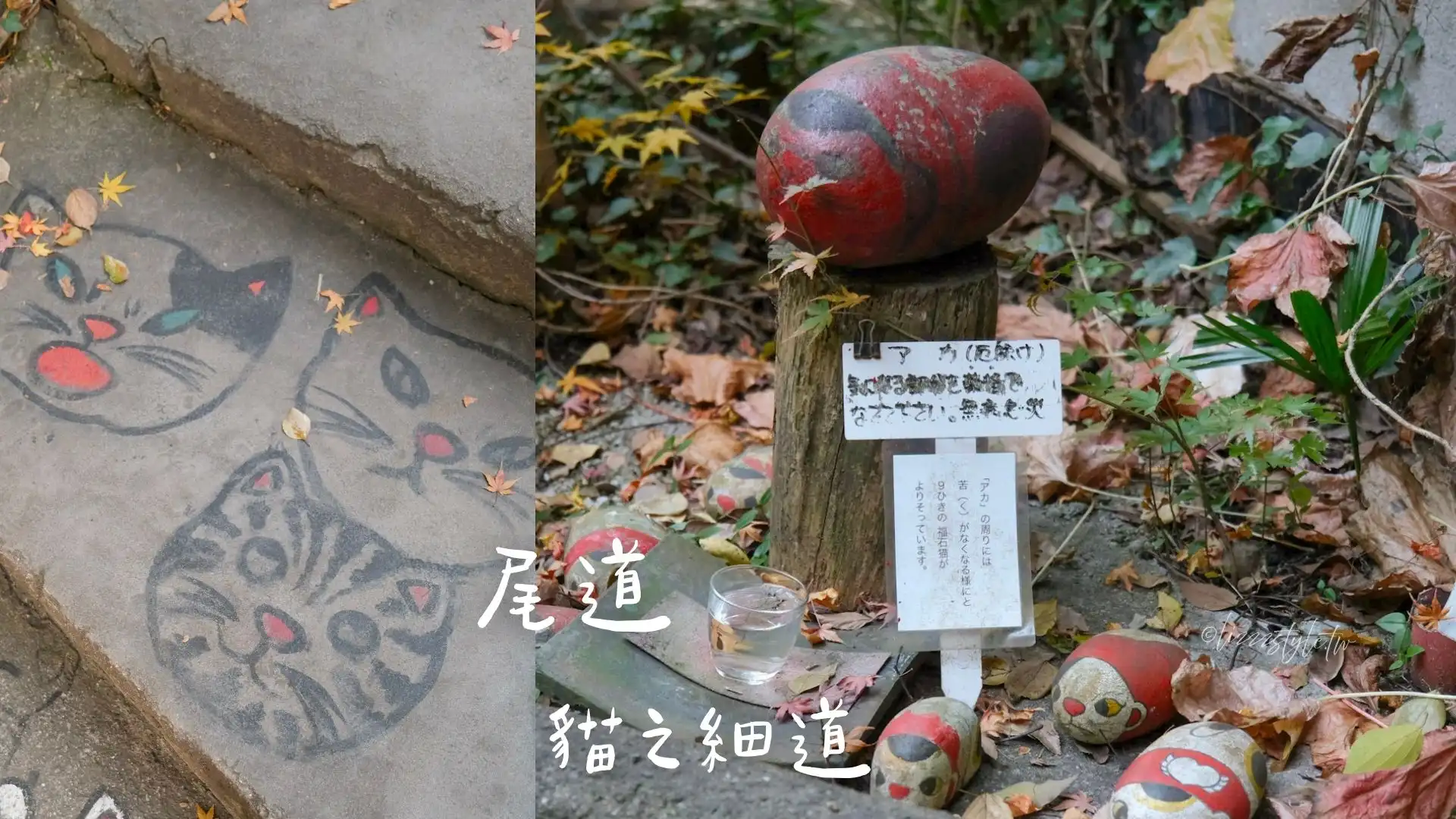 廣道尾道「貓之細道」真的有貓嗎？整條小徑都是貓咪元素！