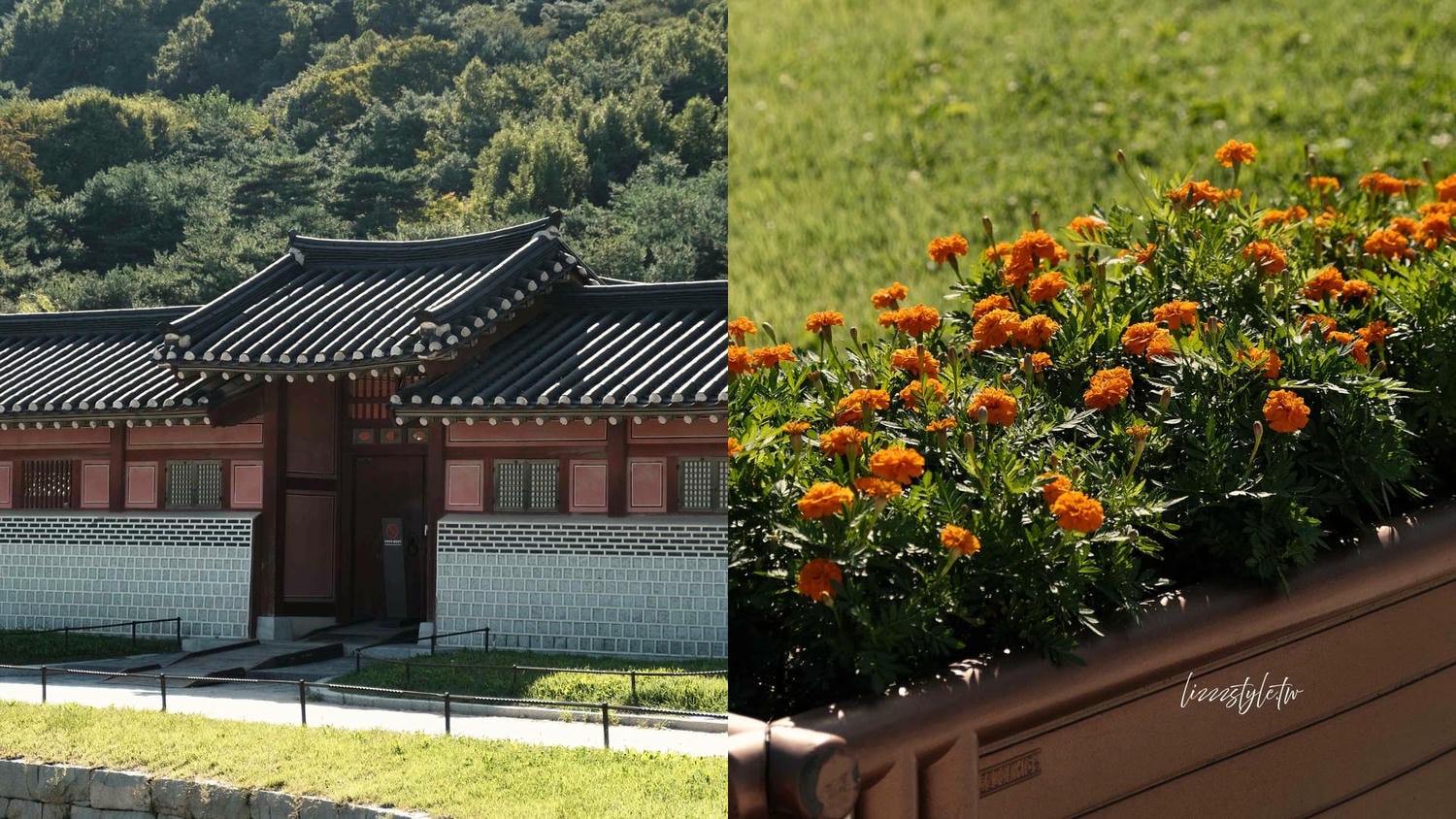 水原景點》華城行宮門票＆古蹟巡禮，順遊行理團路逛街！