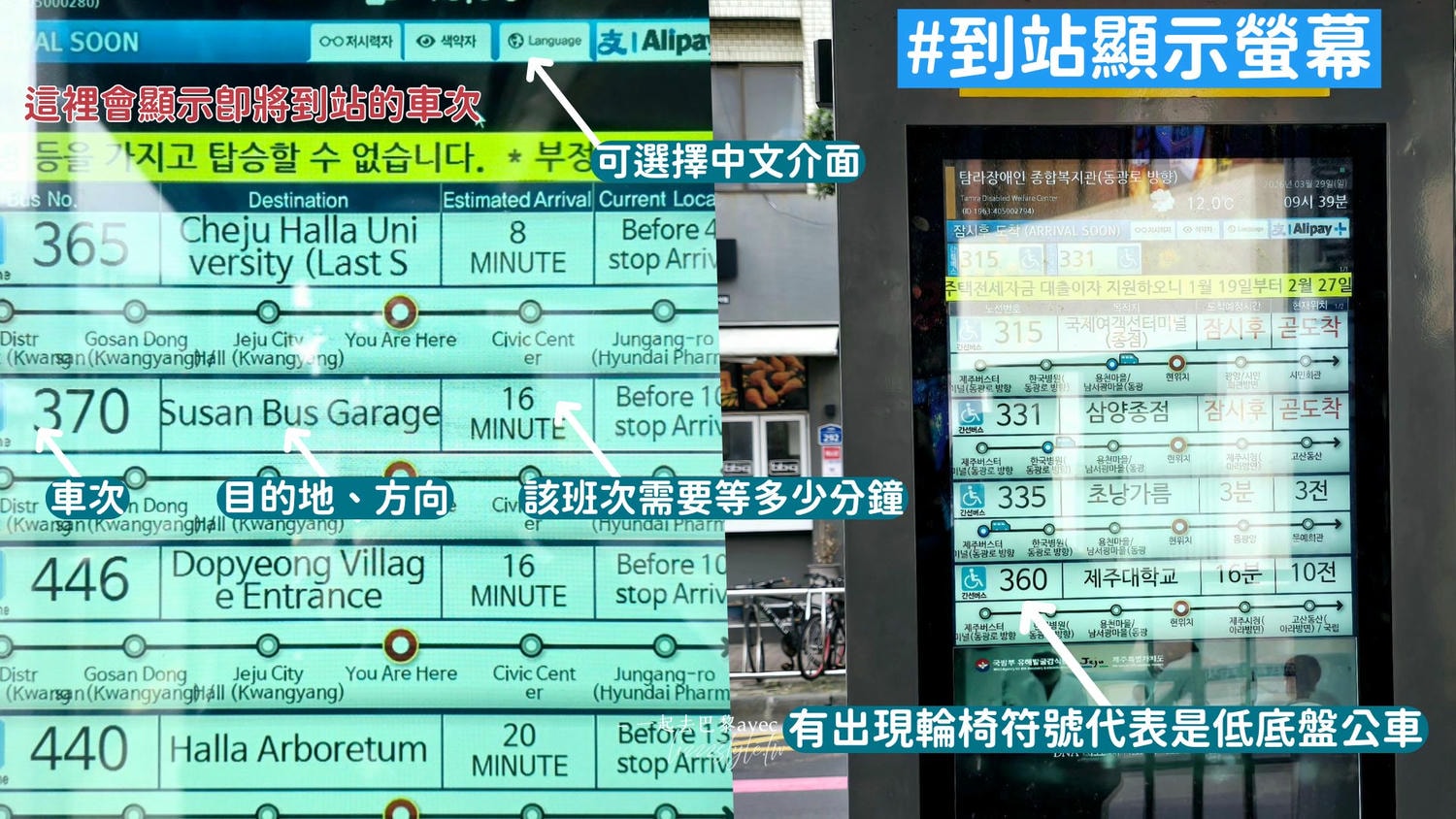 2026濟州島交通攻略》搭公車方便嗎?含巴士路線地圖、刷卡、路線、常見問題！