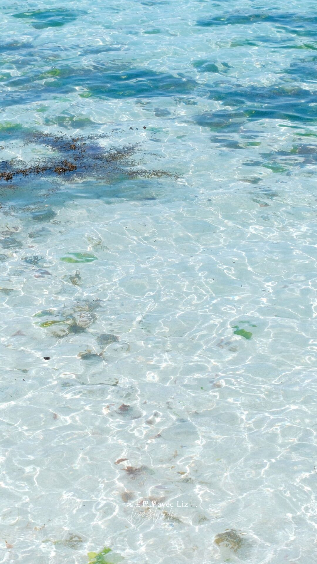 濟州金寧海水浴場》美麗的熔岩沙灘與碧綠海水，歡迎來到三達里取景地!