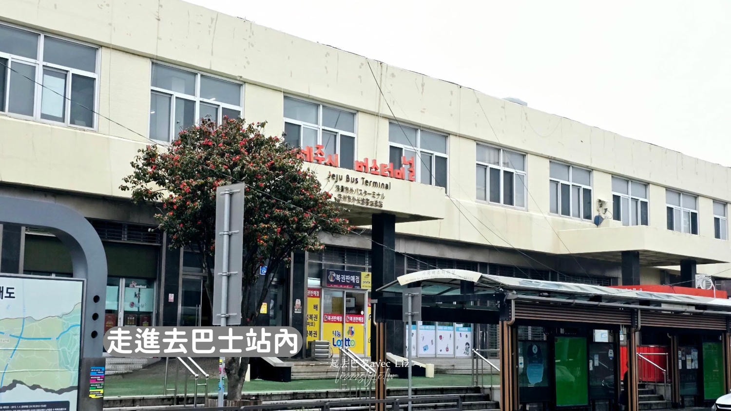 2026濟州島交通攻略》搭公車方便嗎?含巴士路線地圖、刷卡、路線、常見問題！