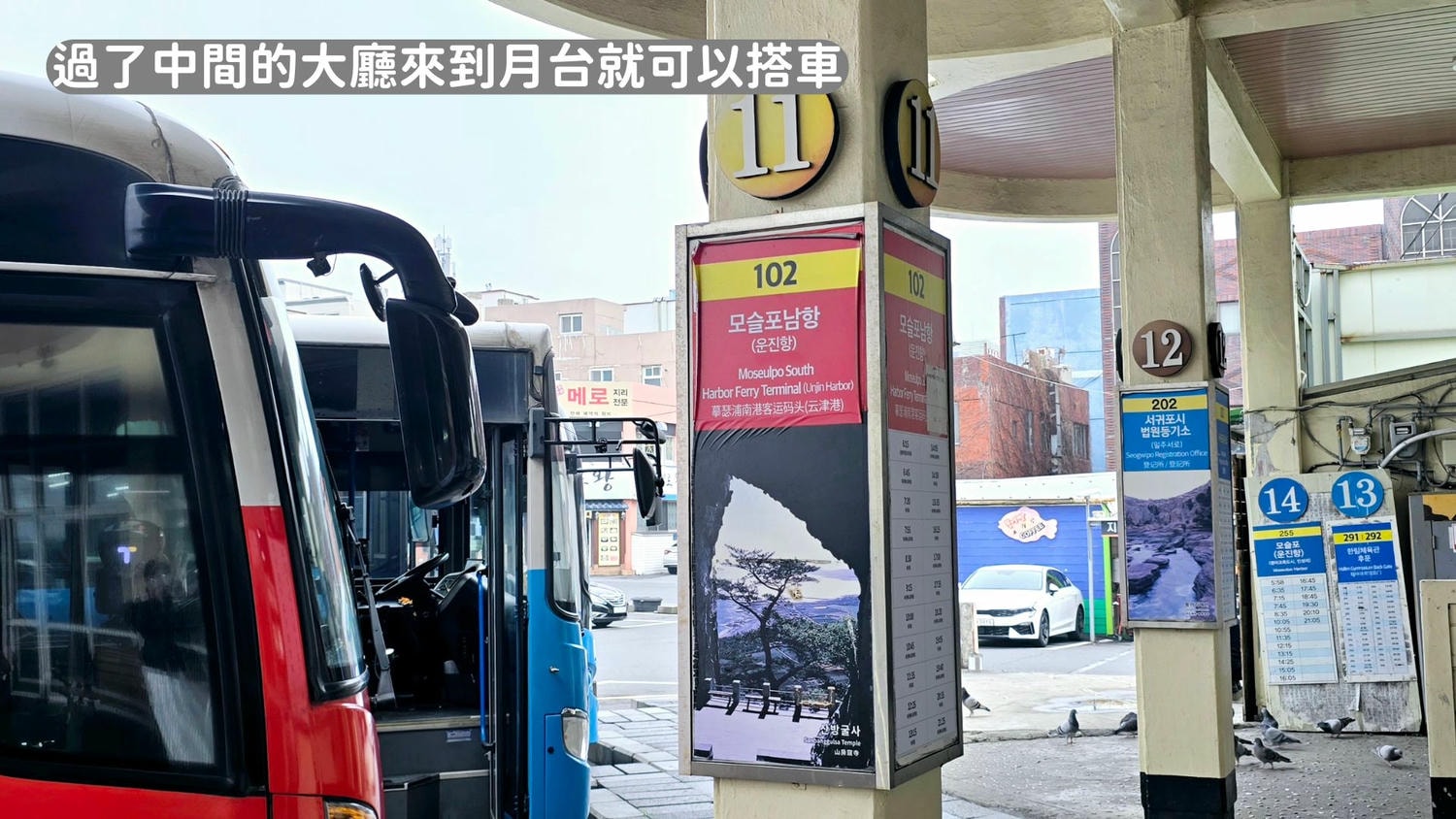 2026濟州島交通攻略》搭公車方便嗎?含巴士路線地圖、刷卡、路線、常見問題！