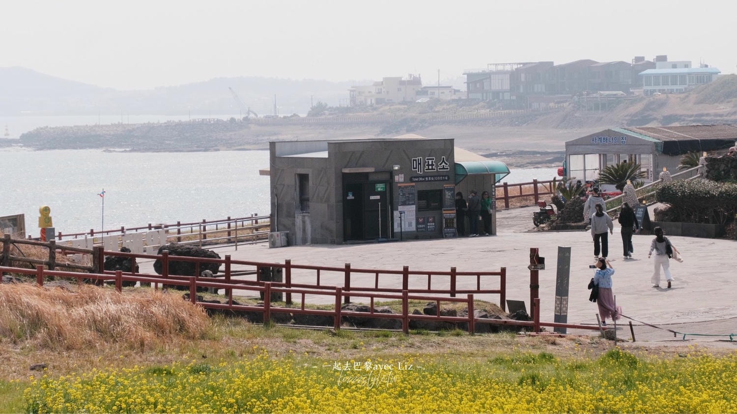 西歸浦龍頭海岸》濟州島一年只開放100多天的限定景點，壯麗峭壁值得一看!
