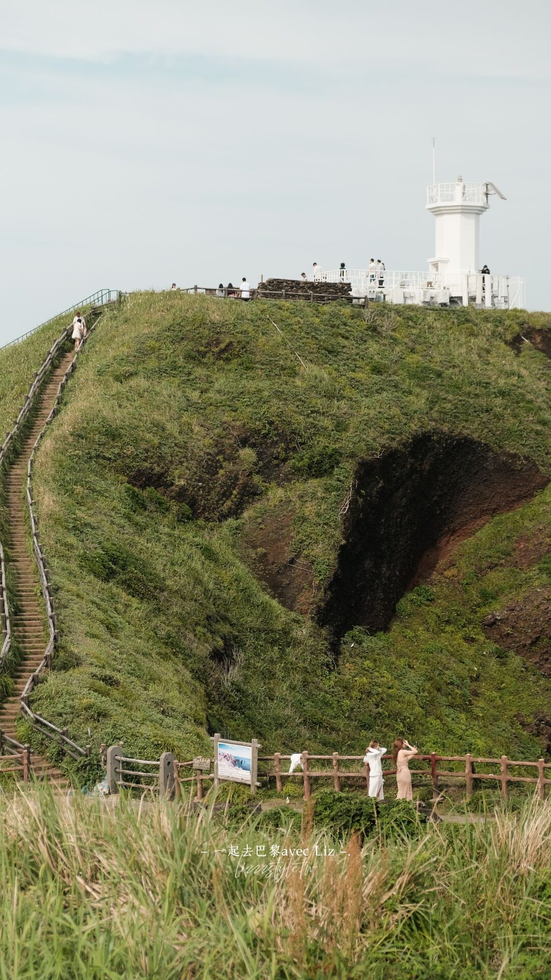 【濟州島景點】涉地可支（涉地岬）濟州島東海岸絕美岬角，漫步春夏限定的油菜花與金雞菊花海！