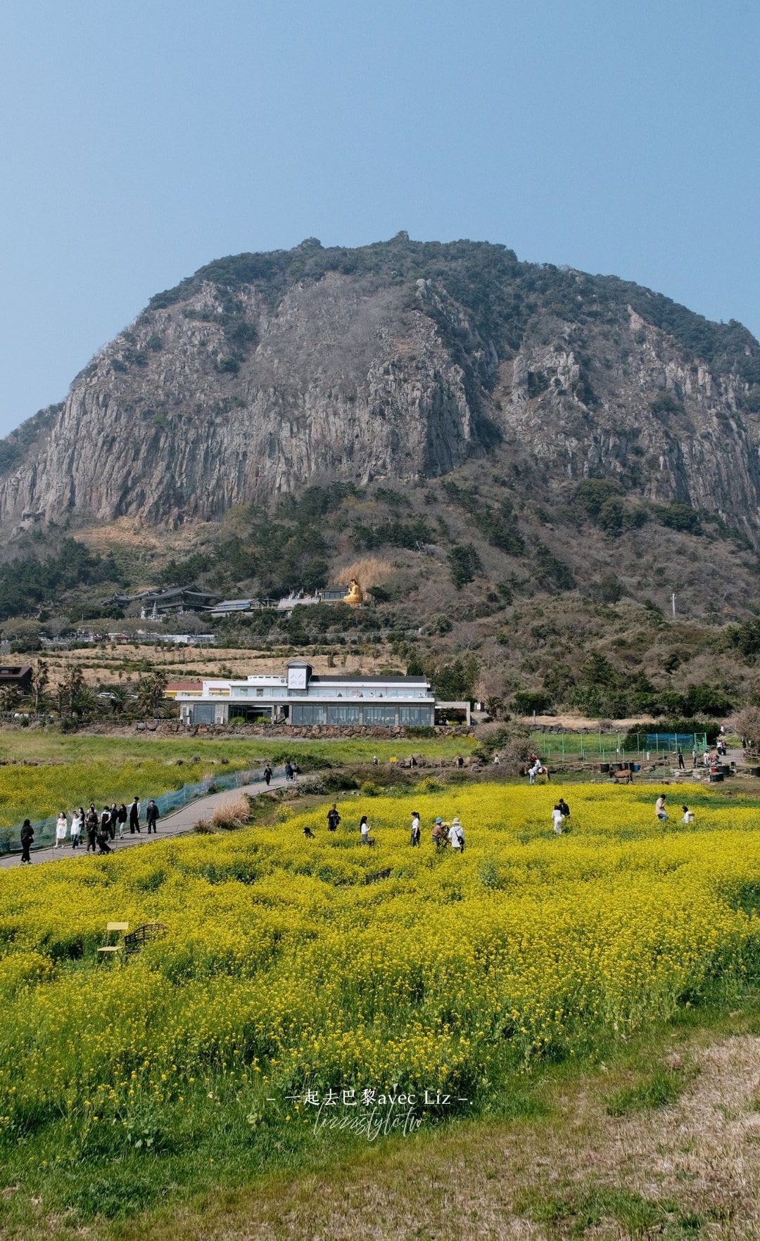西歸浦龍頭海岸》濟州島一年只開放100多天的限定景點，壯麗峭壁值得一看!