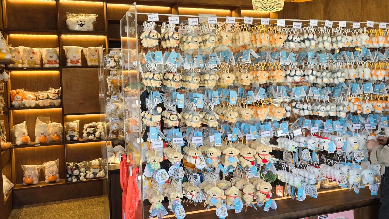 濟州島紀念品推薦》線條小狗兩間門市資訊、選品分享，近倫敦貝果、蓮洞!