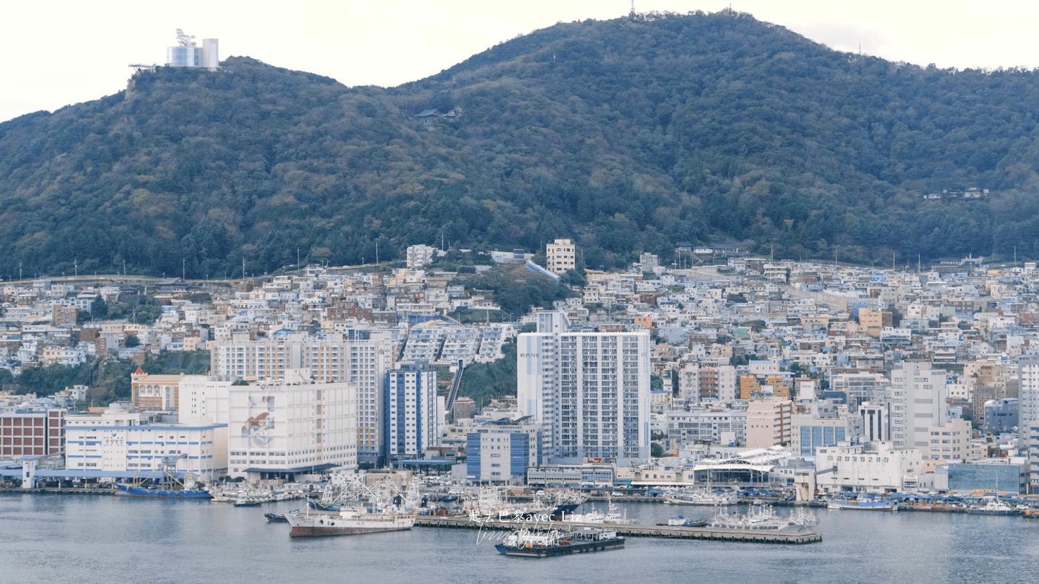 南浦洞光復路樂天百貨展望台》屋頂上的免費夜景，俯瞰南浦洞景觀!