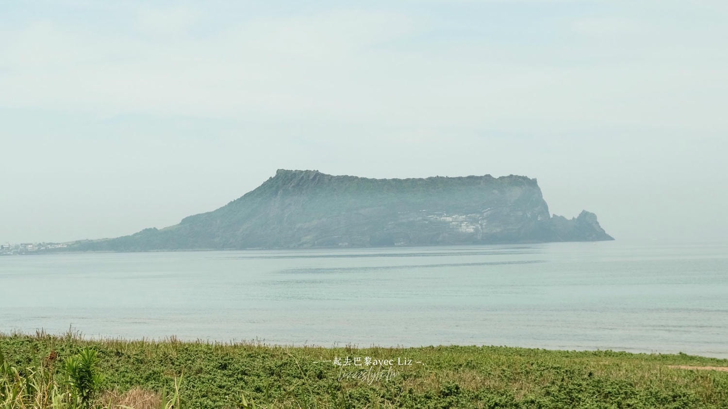 【濟州島景點】涉地可支（涉地岬）濟州島東海岸絕美岬角，漫步春夏限定的油菜花與金雞菊花海！