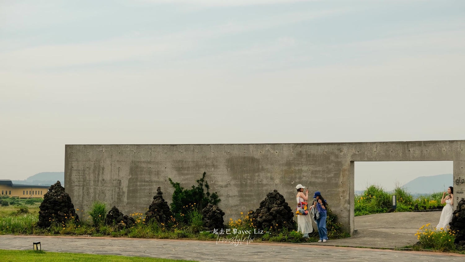 【濟州島景點】涉地可支（涉地岬）濟州島東海岸絕美岬角，漫步春夏限定的油菜花與金雞菊花海！