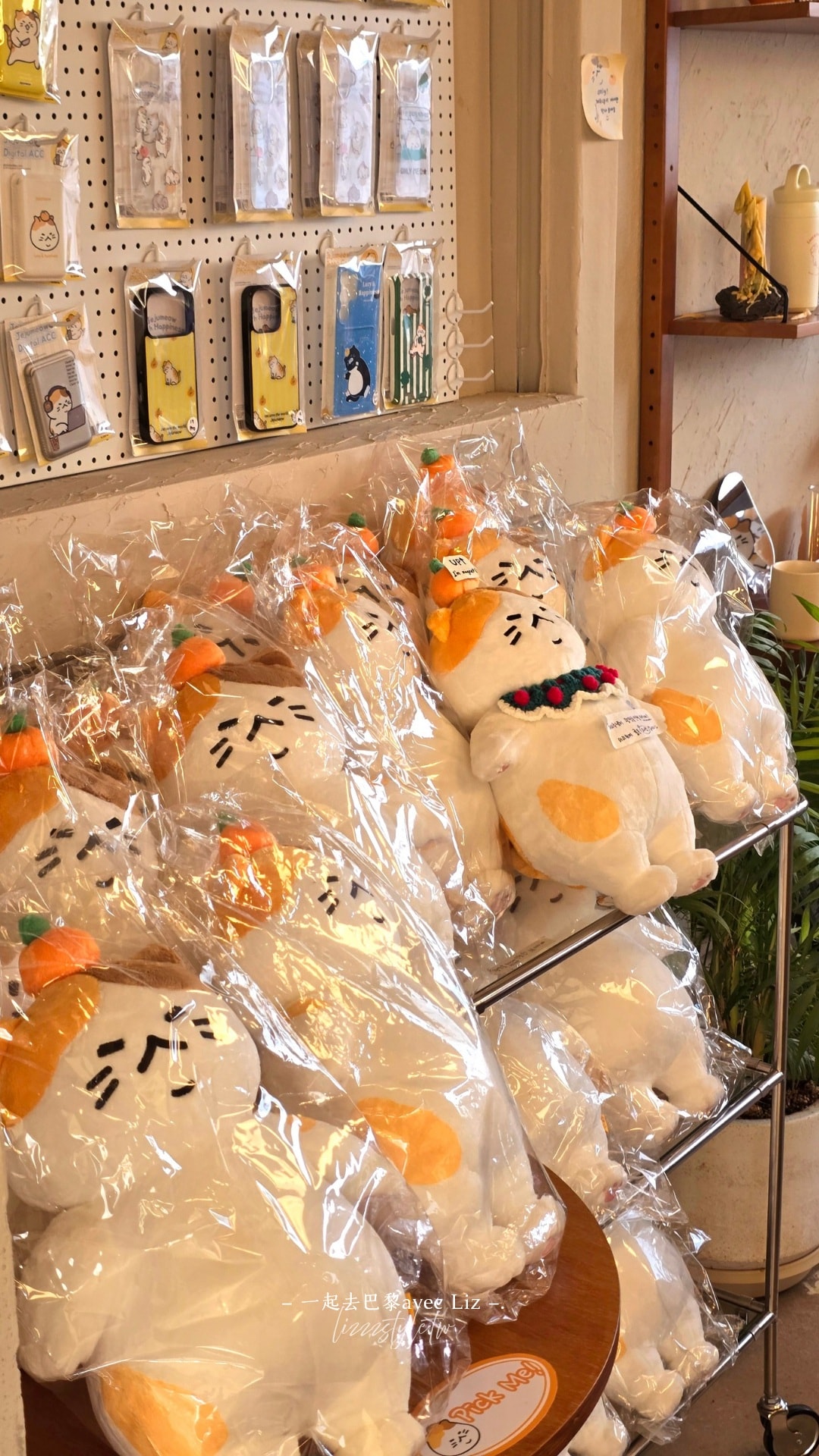 Jeju Meow제주냥이》貓奴必逛濟州限定紀念品店,3家分店資訊&月汀里店開箱! - 第12張圖 Jeju Meow제주냥이》貓奴必逛濟州限定紀念品店,3家分店資訊&月汀里店開箱!