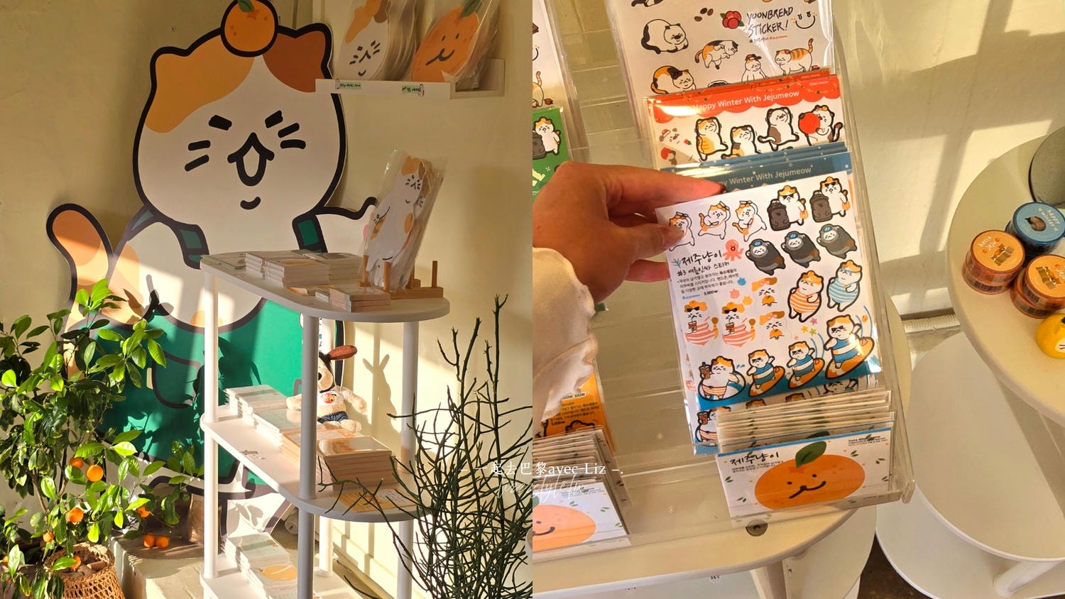 Jeju Meow제주냥이》貓奴必逛濟州限定紀念品店,3家分店資訊&月汀里店開箱! - 第6張圖 Jeju Meow제주냥이》貓奴必逛濟州限定紀念品店,3家分店資訊&月汀里店開箱!