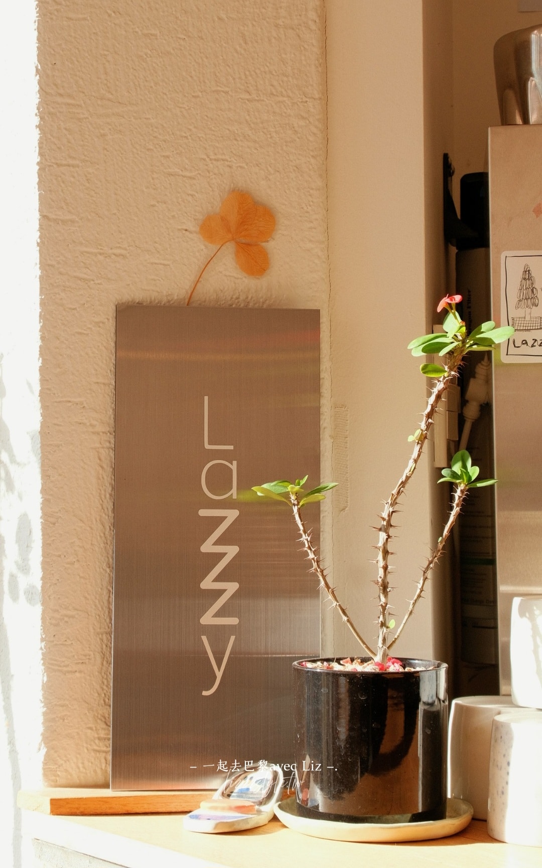 濟州島三徒一洞Lazzzy Coffee》巴士客運站附近咖啡廳，午後悠閒地享受一杯咖啡