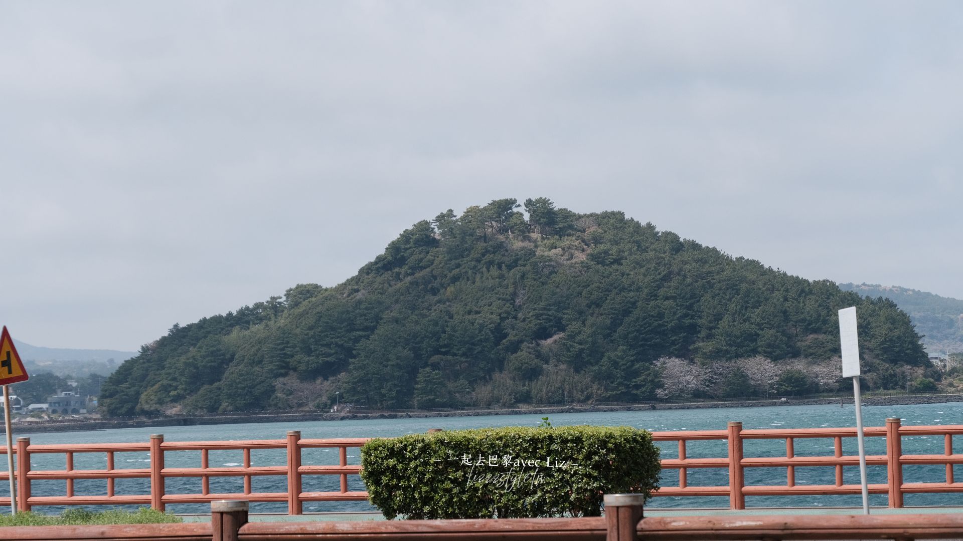 濟州島海膽拌飯》城山日出峰海升飯館海鮮餐廳! - 第15張圖 濟州島海膽拌飯》城山日出峰海升飯館海鮮餐廳!