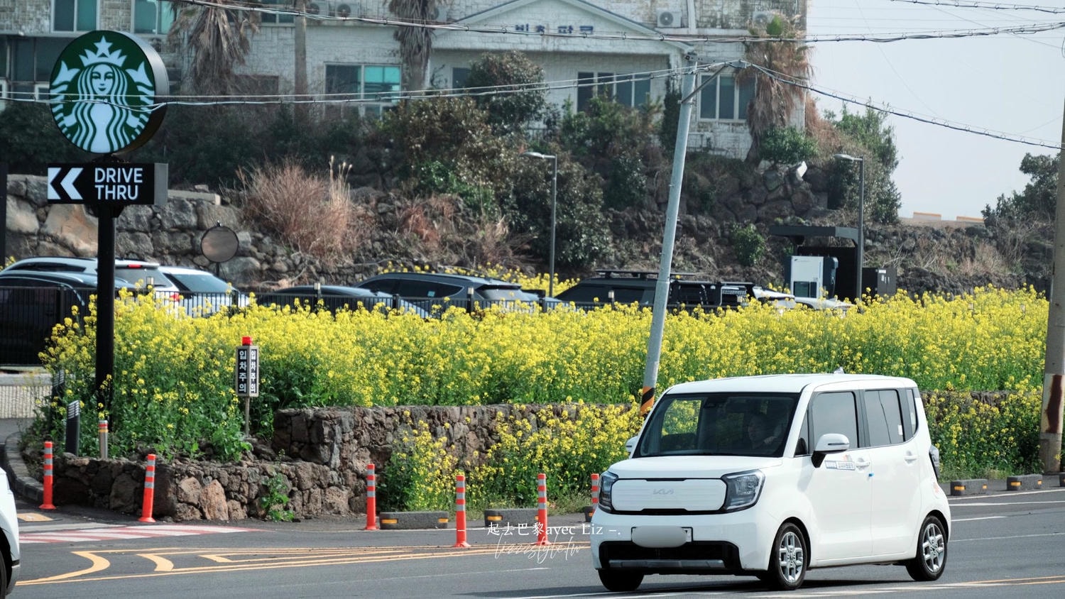涯月漢潭海岸散步路》濟州平緩又美麗的步道,韓劇裡的浪漫海岸路線! - 第16張圖 涯月漢潭海岸散步路》濟州平緩又美麗的步道,韓劇裡的浪漫海岸路線!