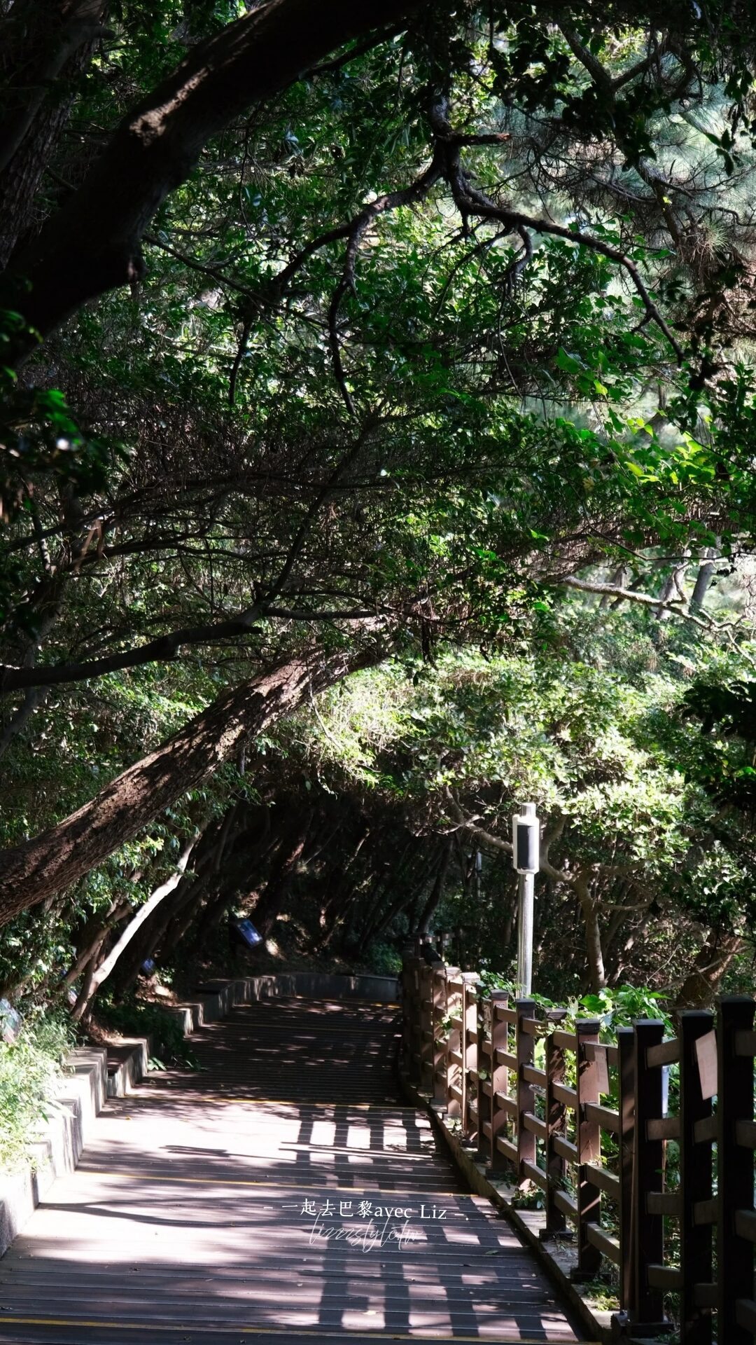【2026太宗台攻略】DANUBI列車釜山pass、影島燈塔、海女村。景點地圖跟著玩! - 第46張圖 【2026太宗台攻略】DANUBI列車釜山pass、影島燈塔、海女村。景點地圖跟著玩!