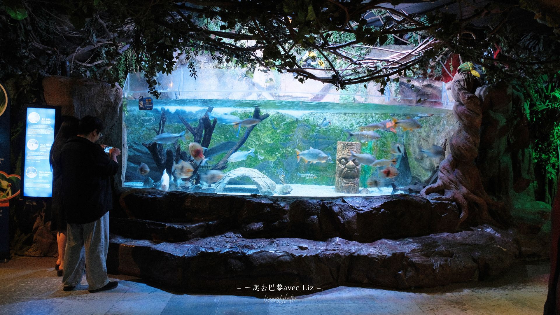 【2026釜山Sea Life水族館】持釜山pass7折+表演秀時間+交通、停留時間全攻略! - 第26張圖 【2026釜山Sea Life水族館】持釜山pass7折+表演秀時間+交通、停留時間全攻略!