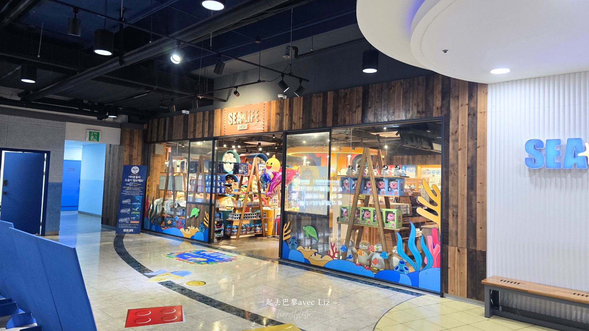 【2026釜山Sea Life水族館】持釜山pass7折+表演秀時間+交通、停留時間全攻略! - 第35張圖 【2026釜山Sea Life水族館】持釜山pass7折+表演秀時間+交通、停留時間全攻略!