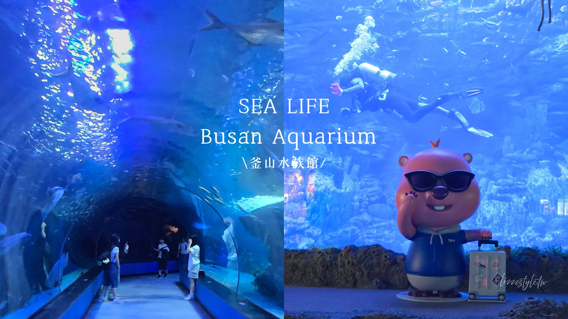 【2026釜山Sea Life水族館】持釜山pass7折+表演秀時間+交通、停留時間全攻略!