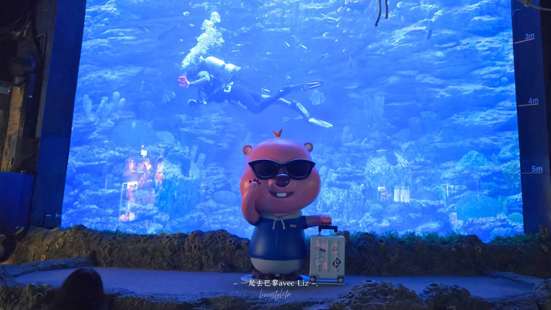 【2026釜山Sea Life水族館】持釜山pass7折+表演秀時間+交通、停留時間全攻略! - 第31張圖 【2026釜山Sea Life水族館】持釜山pass7折+表演秀時間+交通、停留時間全攻略!