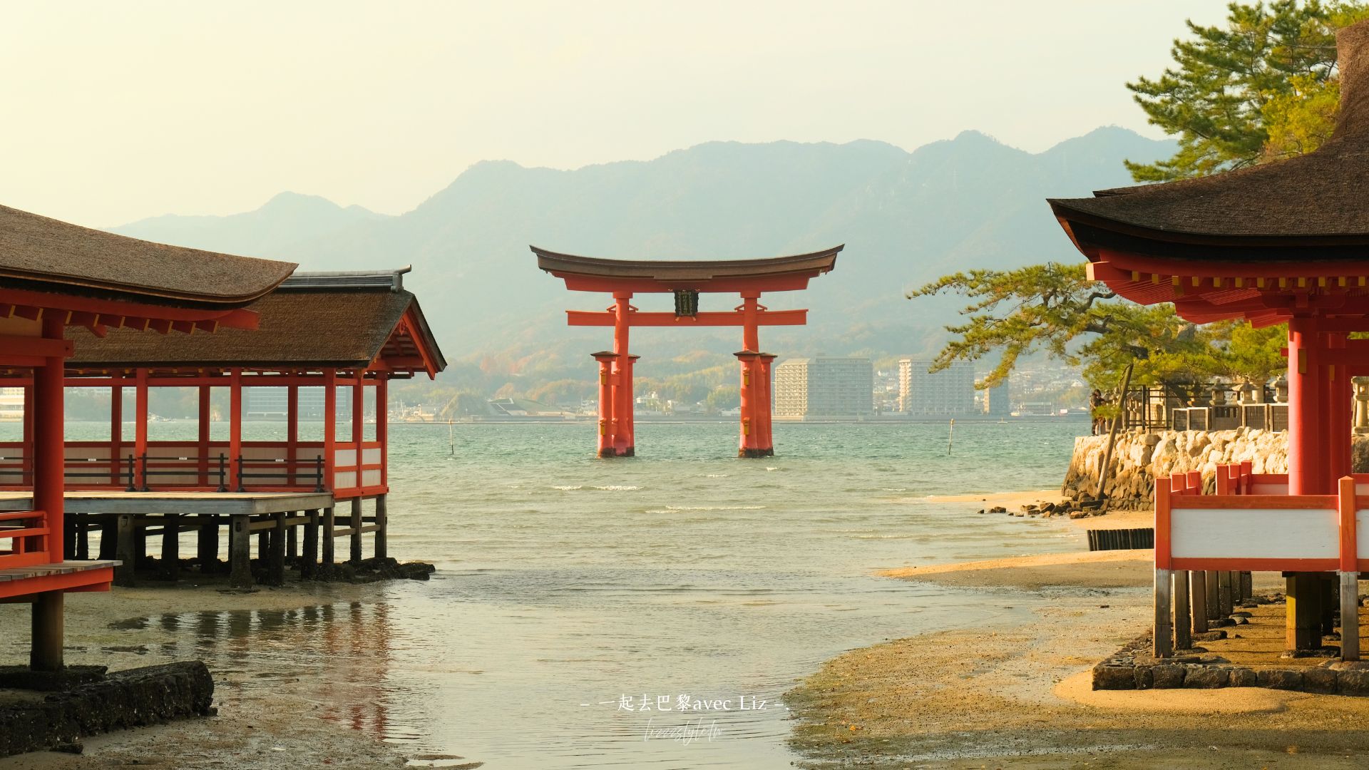 【2026福岡自由行攻略】5天4夜、4天3夜及2天快閃交通、住宿、行程如何安排？不自駕也ok!
