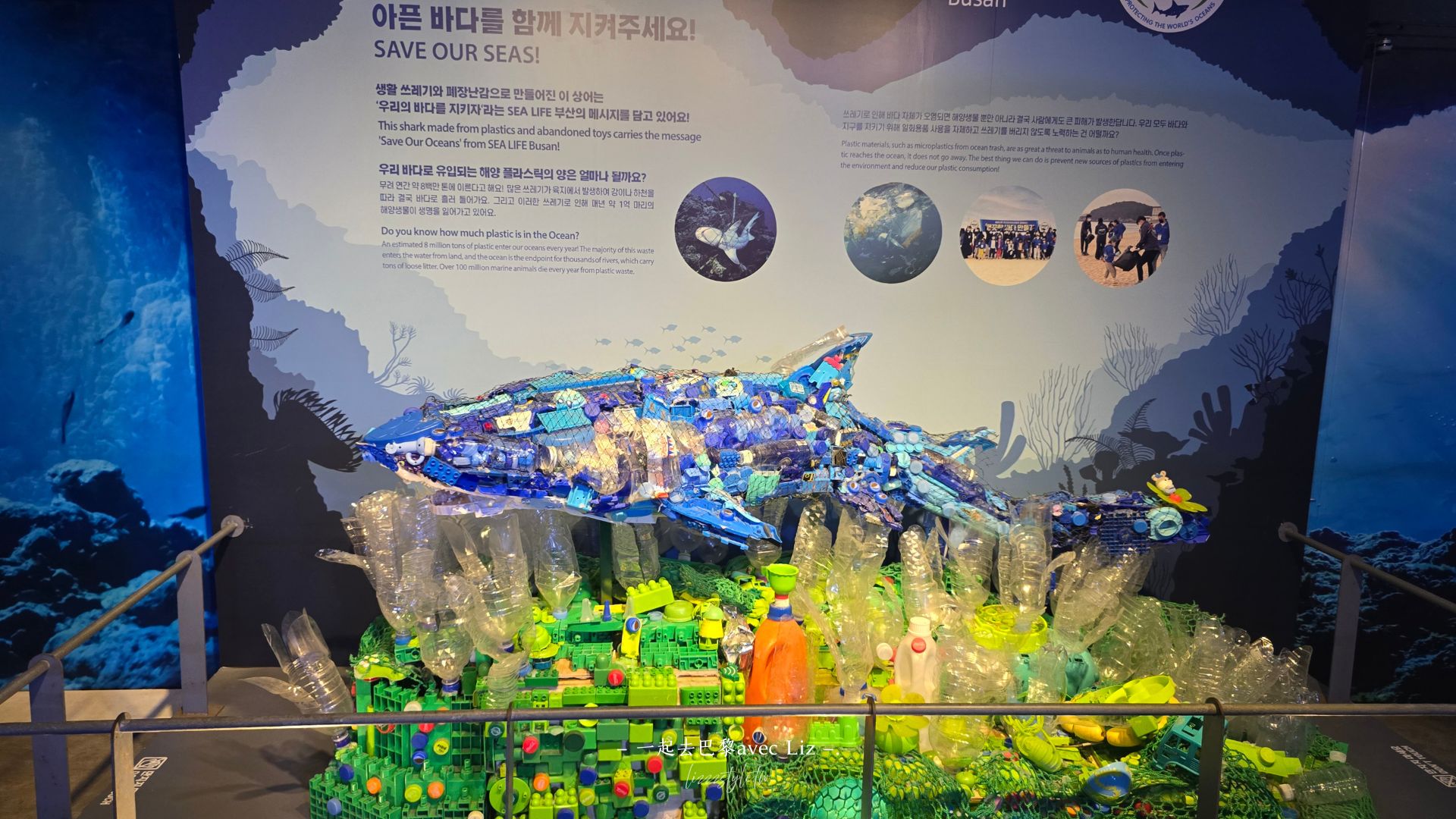 【2026釜山Sea Life水族館】持釜山pass7折+表演秀時間+交通、停留時間全攻略! - 第17張圖 【2026釜山Sea Life水族館】持釜山pass7折+表演秀時間+交通、停留時間全攻略!