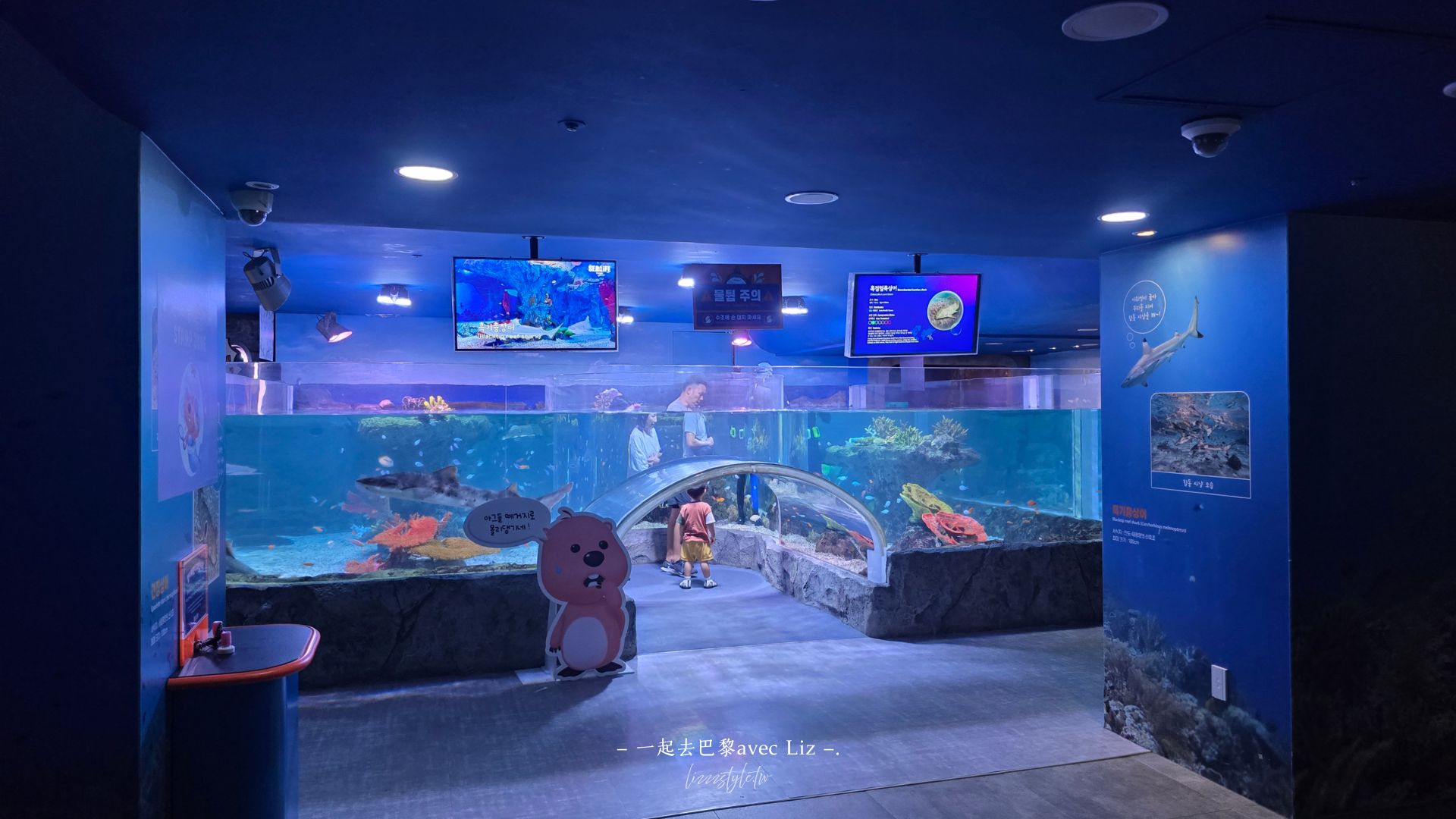 【2026釜山Sea Life水族館】持釜山pass7折+表演秀時間+交通、停留時間全攻略! - 第13張圖 【2026釜山Sea Life水族館】持釜山pass7折+表演秀時間+交通、停留時間全攻略!