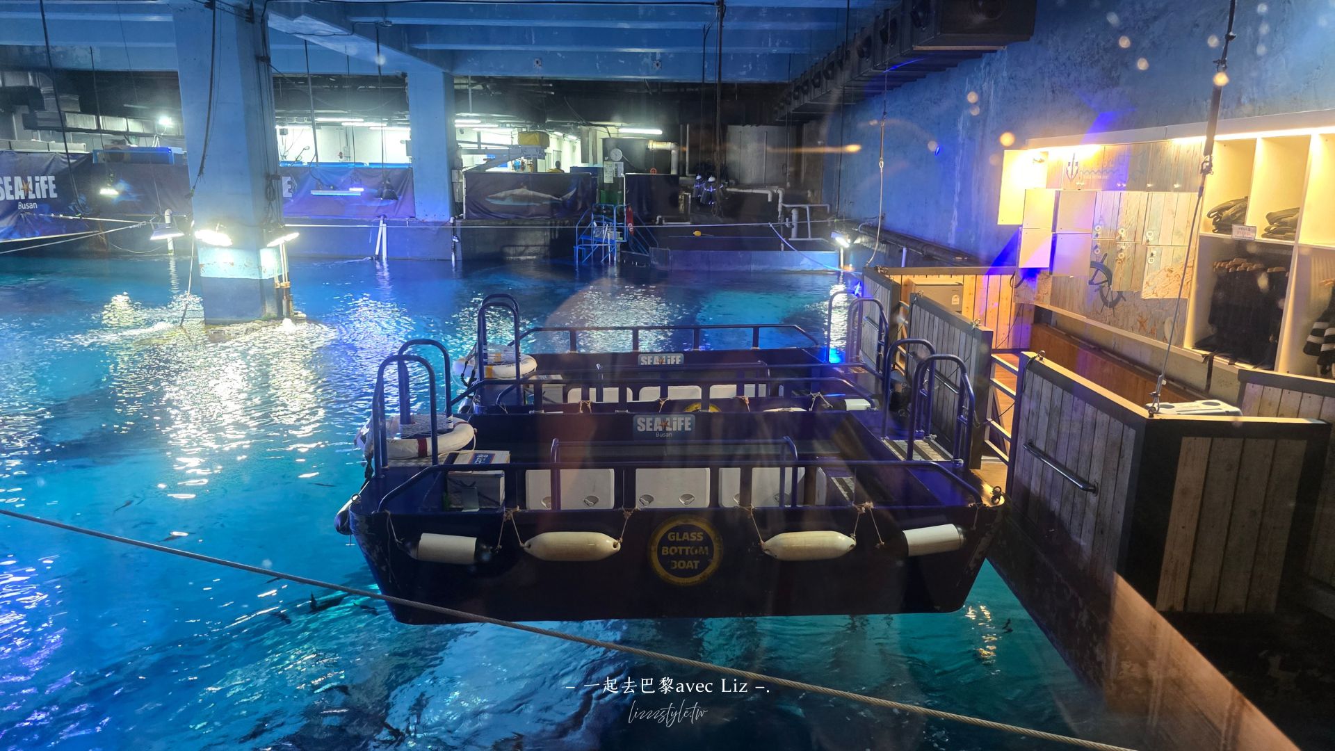 【2026釜山Sea Life水族館】持釜山pass7折+表演秀時間+交通、停留時間全攻略! - 第20張圖 【2026釜山Sea Life水族館】持釜山pass7折+表演秀時間+交通、停留時間全攻略!