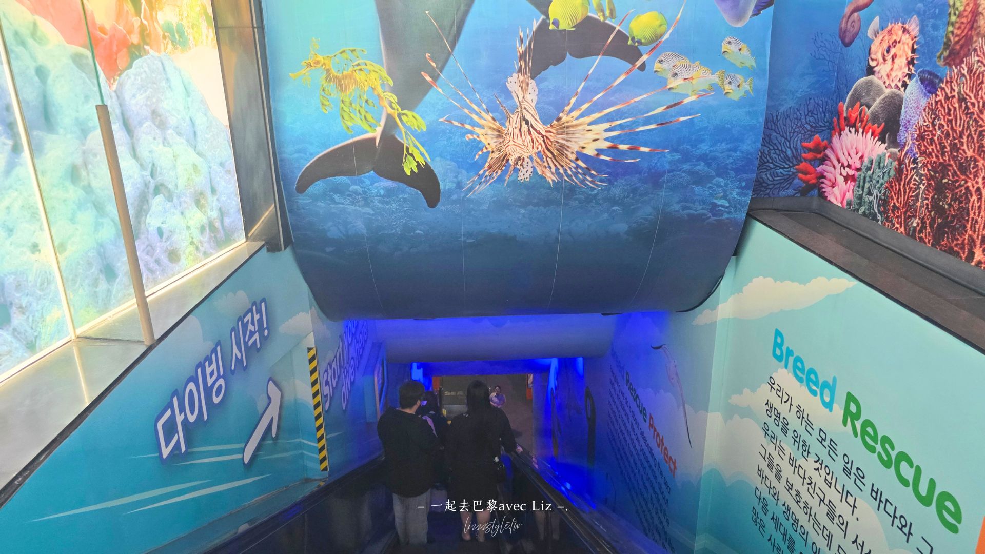 【2026釜山Sea Life水族館】持釜山pass7折+表演秀時間+交通、停留時間全攻略! - 第5張圖 【2026釜山Sea Life水族館】持釜山pass7折+表演秀時間+交通、停留時間全攻略!