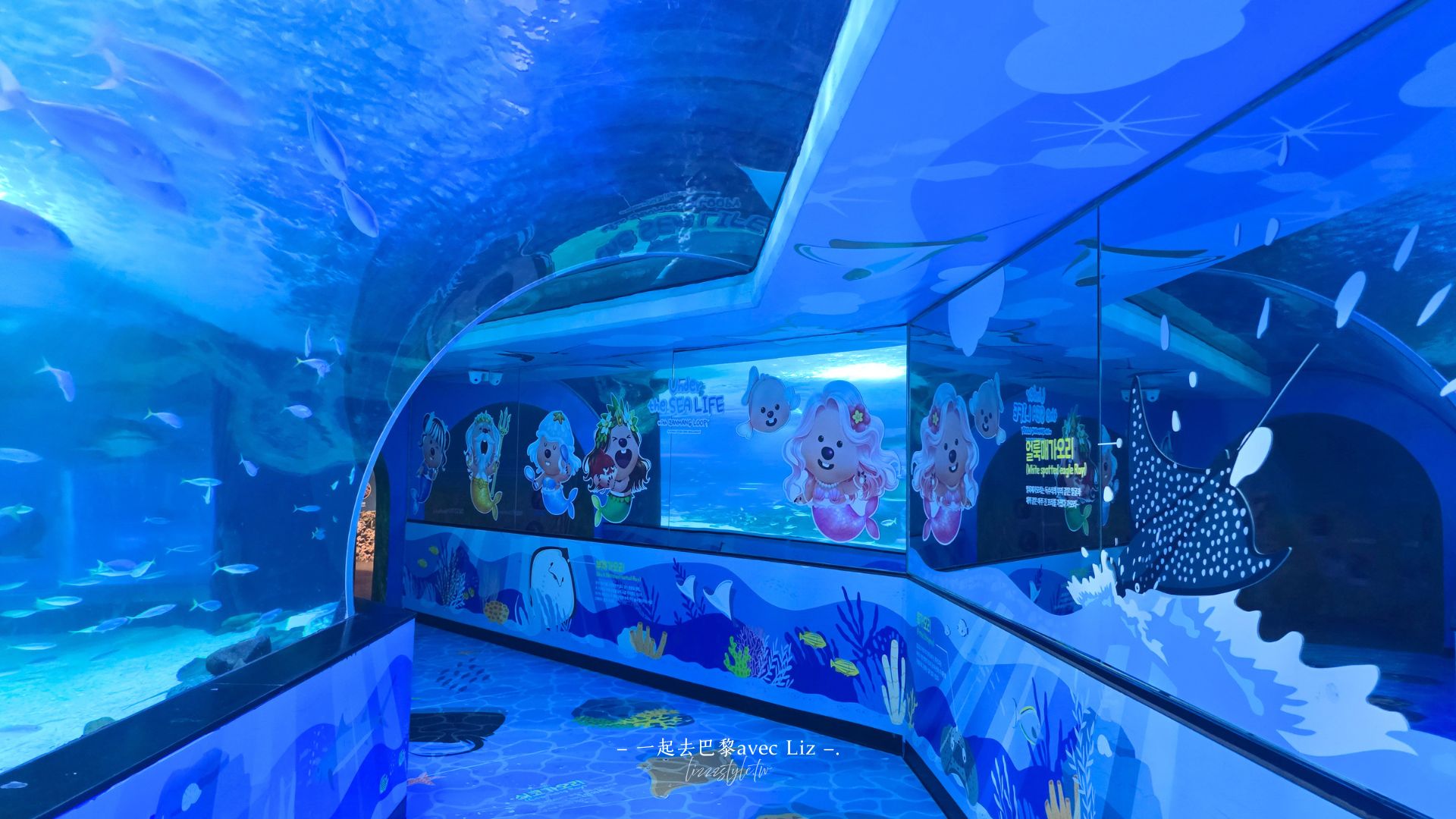 【2026釜山Sea Life水族館】持釜山pass7折+表演秀時間+交通、停留時間全攻略! - 第30張圖 【2026釜山Sea Life水族館】持釜山pass7折+表演秀時間+交通、停留時間全攻略!