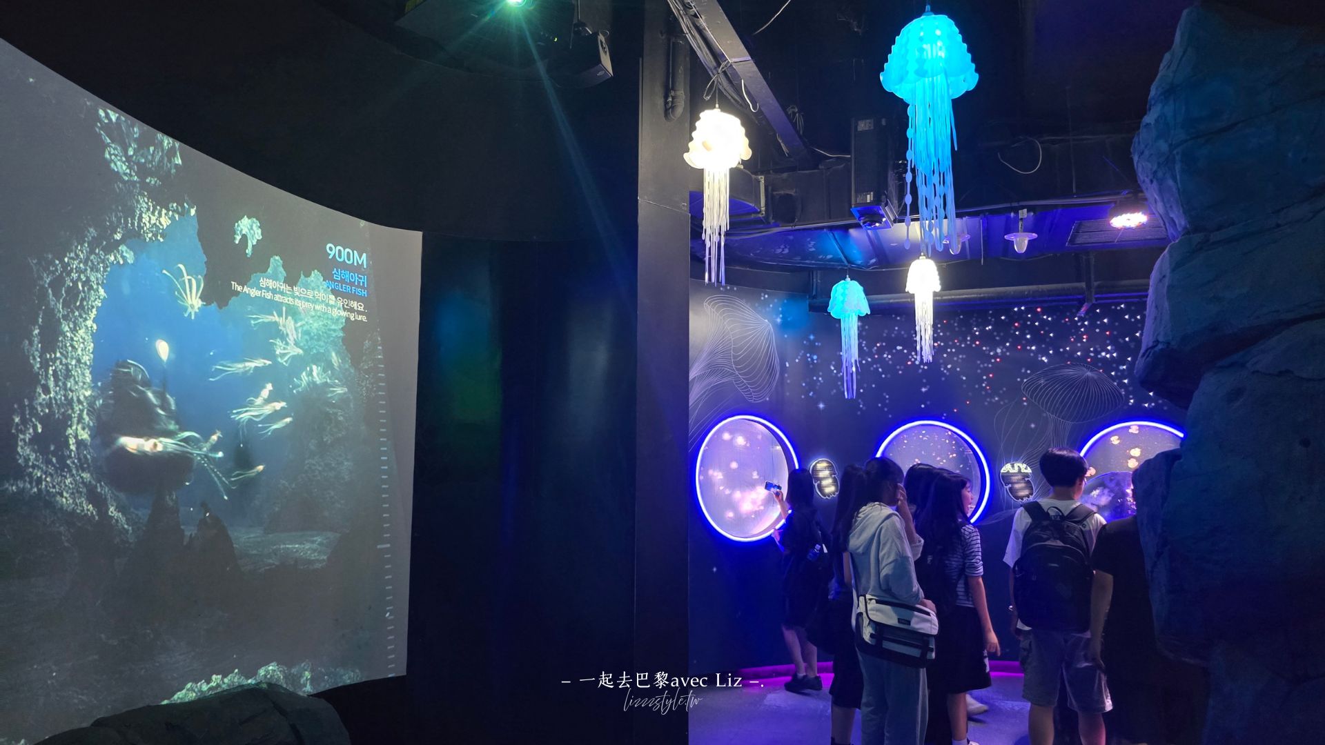 【2026釜山Sea Life水族館】持釜山pass7折+表演秀時間+交通、停留時間全攻略! - 第22張圖 【2026釜山Sea Life水族館】持釜山pass7折+表演秀時間+交通、停留時間全攻略!