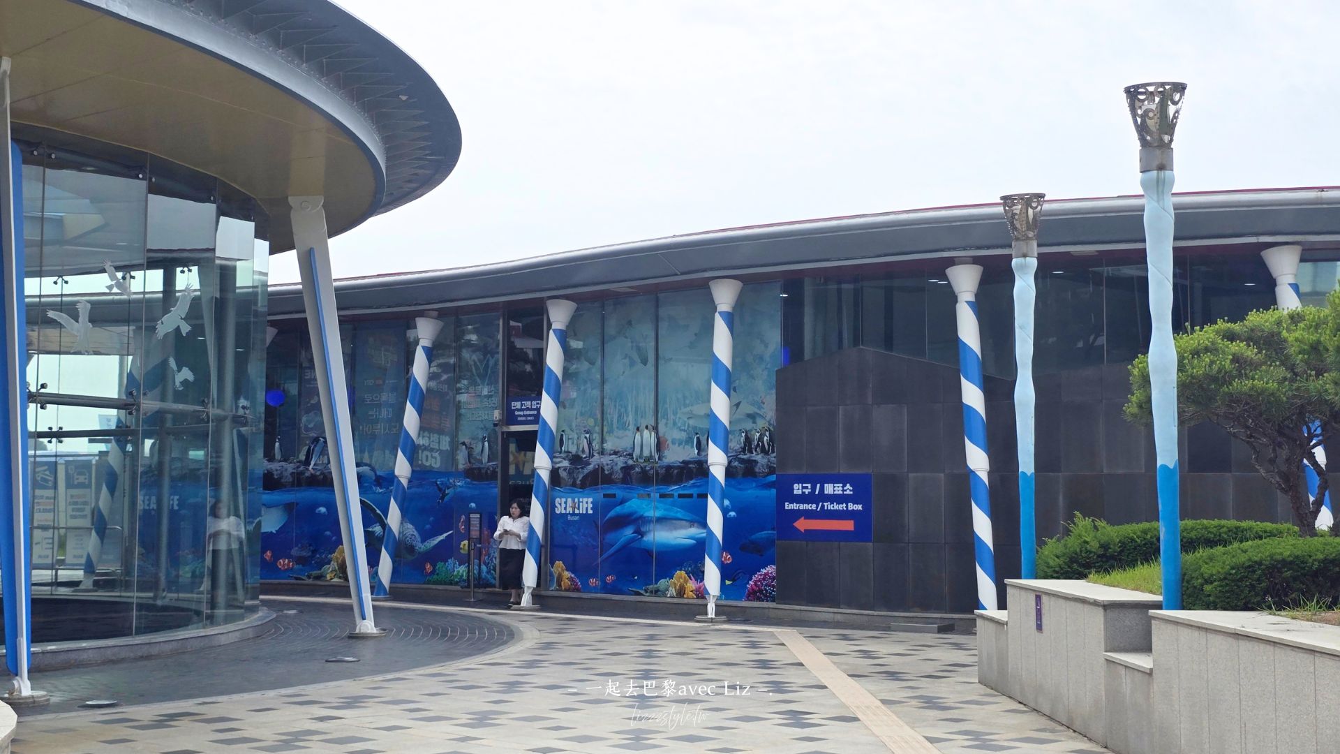 【2026釜山Sea Life水族館】持釜山pass7折+表演秀時間+交通、停留時間全攻略! - 第3張圖 【2026釜山Sea Life水族館】持釜山pass7折+表演秀時間+交通、停留時間全攻略!