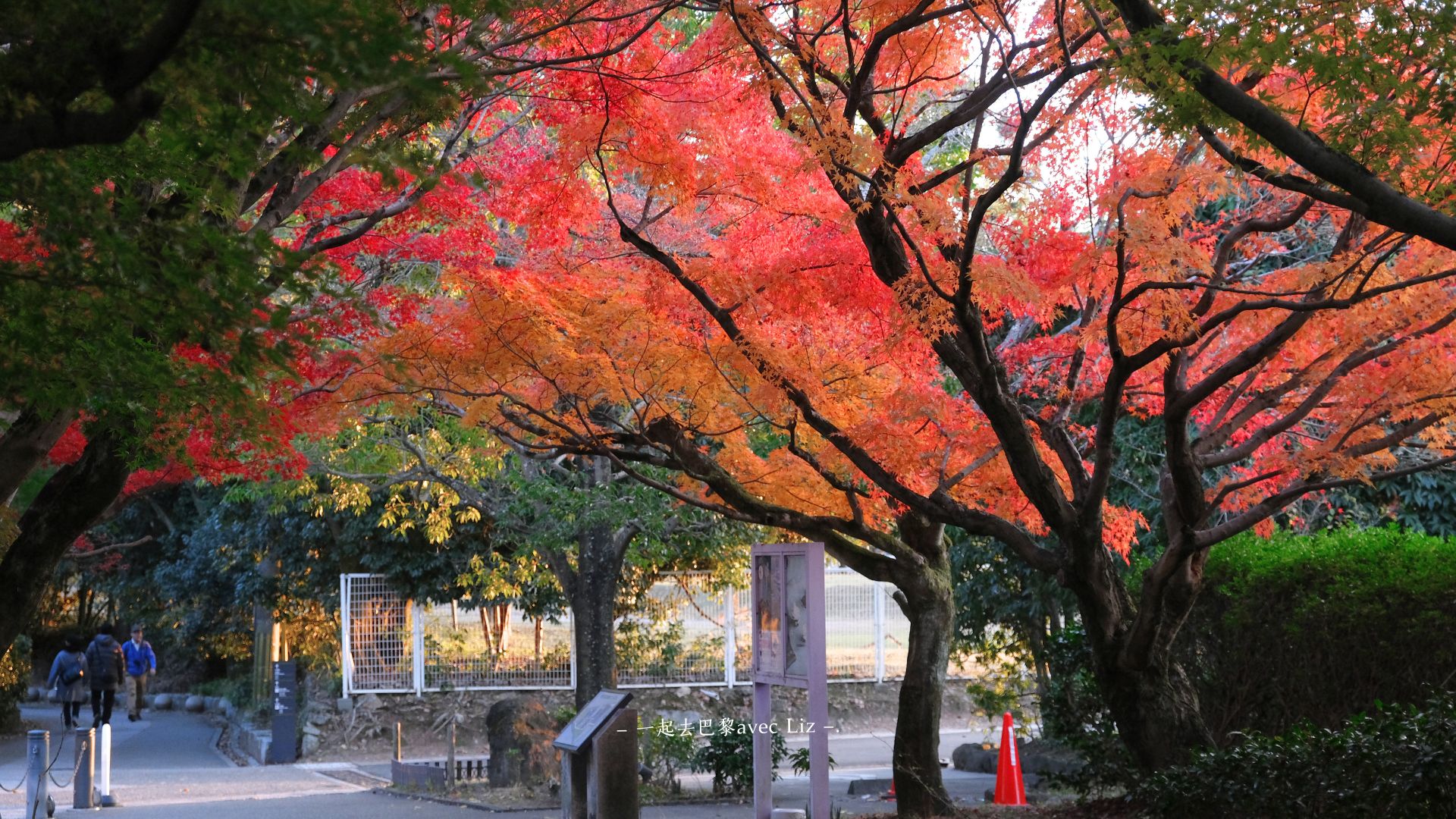 【2026宇治一日遊】京都宇治景點地圖+交通攻略,抹茶名店&兩大世界遺產一次收藏! - 第12張圖 【2026宇治一日遊】京都宇治景點地圖+交通攻略,抹茶名店&兩大世界遺產一次收藏!