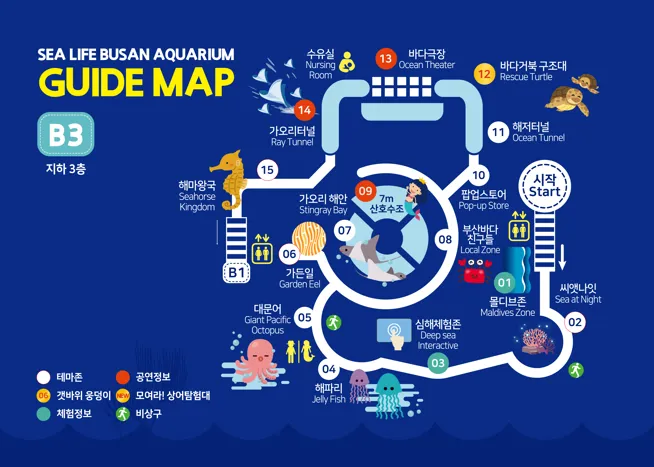 【2026釜山Sea Life水族館】持釜山pass7折+表演秀時間+交通、停留時間全攻略! - 第10張圖 【2026釜山Sea Life水族館】持釜山pass7折+表演秀時間+交通、停留時間全攻略!