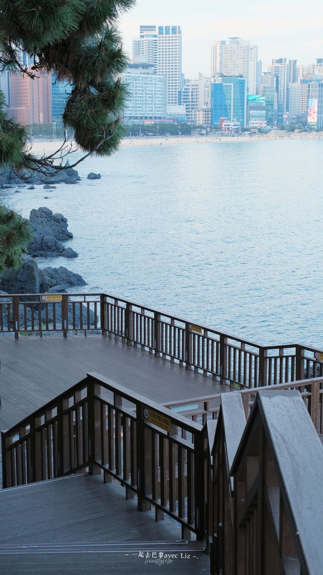 【釜山冬柏島散策】海岸步道&APEC世峰樓&廣安大橋美景,含交通攻略! - 第13張圖 【釜山冬柏島散策】海岸步道&APEC世峰樓&廣安大橋美景,含交通攻略!