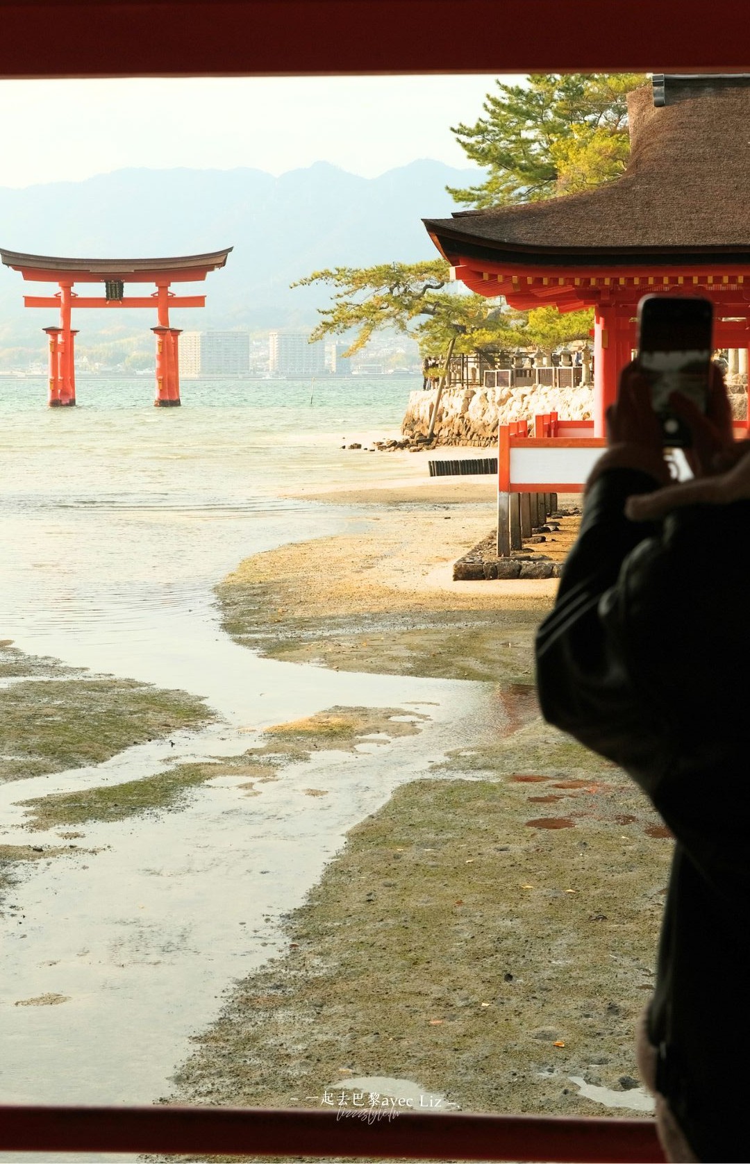 【嚴島神社攻略】日本三景海上大鳥居拍照、交通、門票、潮汐時間,兩次朝聖真實心得! - 第7張圖 【嚴島神社攻略】日本三景海上大鳥居拍照、交通、門票、潮汐時間,兩次朝聖真實心得!