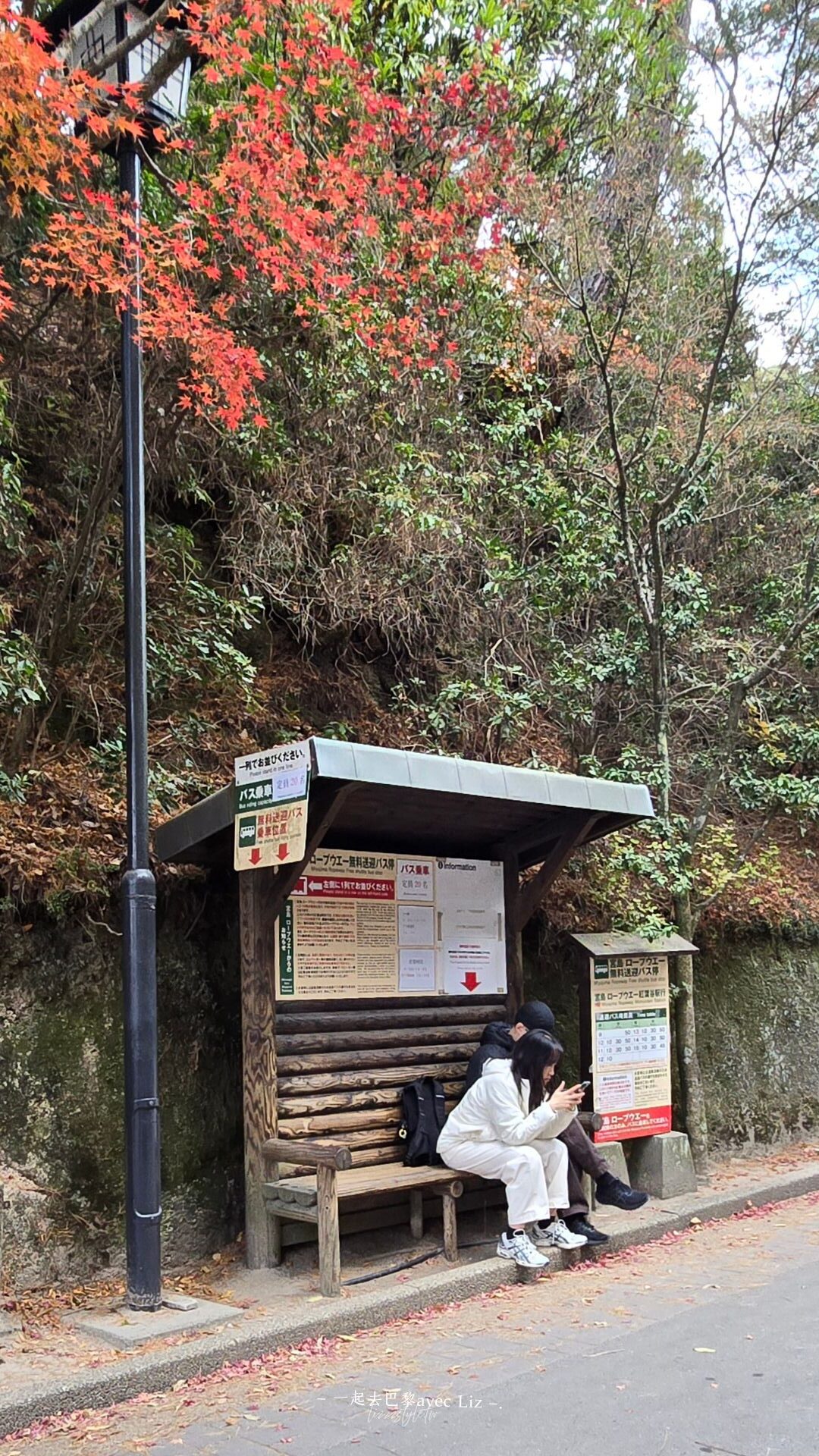 【宮島纜車攻略】接駁車、門票、展望台上看瀨戶內海景! - 第9張圖 【宮島纜車攻略】接駁車、門票、展望台上看瀨戶內海景!