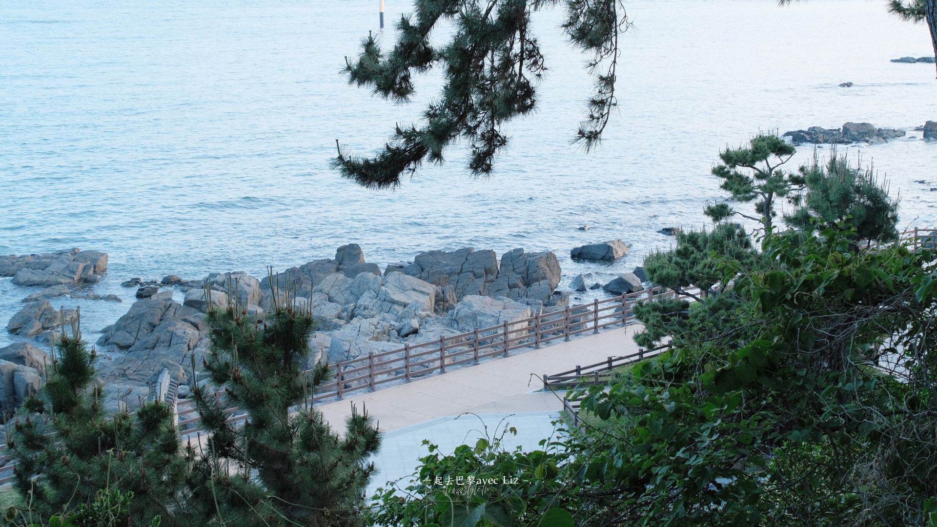 【釜山冬柏島散策】海岸步道&APEC世峰樓&廣安大橋美景,含交通攻略! - 第3張圖 【釜山冬柏島散策】海岸步道&APEC世峰樓&廣安大橋美景,含交通攻略!