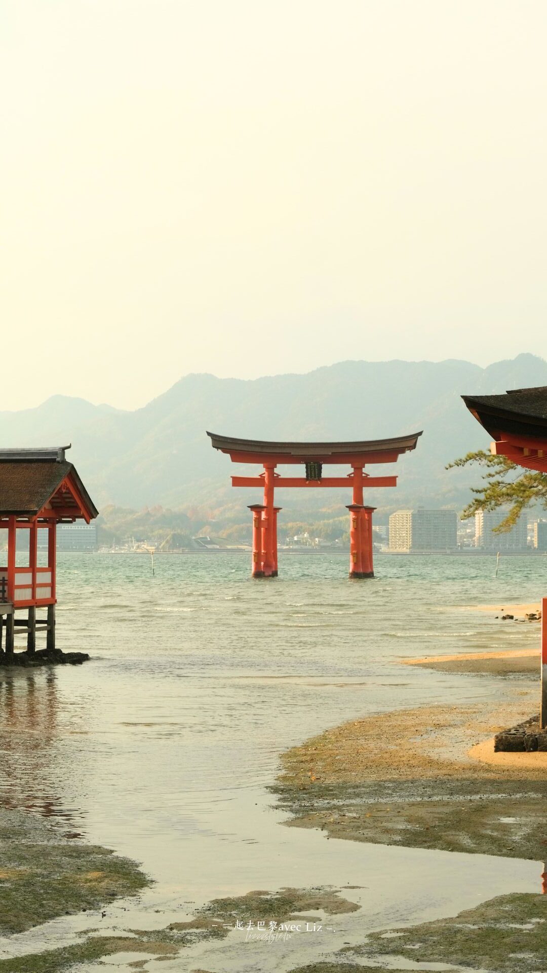 【嚴島神社攻略】日本三景海上大鳥居拍照、交通、門票、潮汐時間,兩次朝聖真實心得! - 第10張圖 【嚴島神社攻略】日本三景海上大鳥居拍照、交通、門票、潮汐時間,兩次朝聖真實心得!
